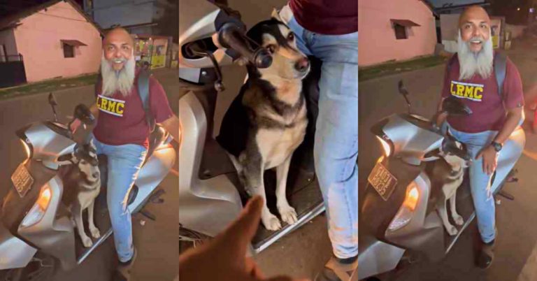 Stray dog hitchhikes on scooter in Goa