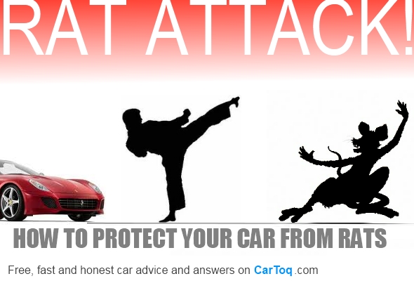 protect your car from rats and mice