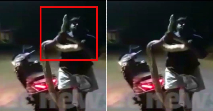 Drunk man takes massive python to police station on his scooter’s pillion seat [Video]