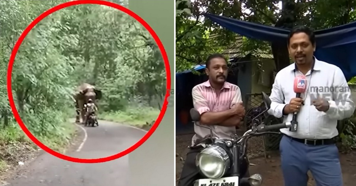 Royal Enfield rider trapped in front of a wild elephant escapes miraculously [Video]