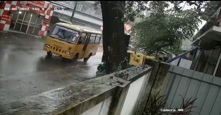 Massive tree uprooted due to heavy rain: Narrowly misses a passing school bus
