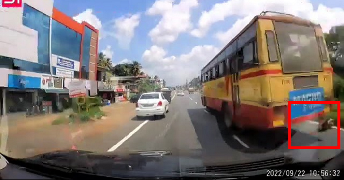 Expect the unexpected on Indian roads: How did this crash happen?
