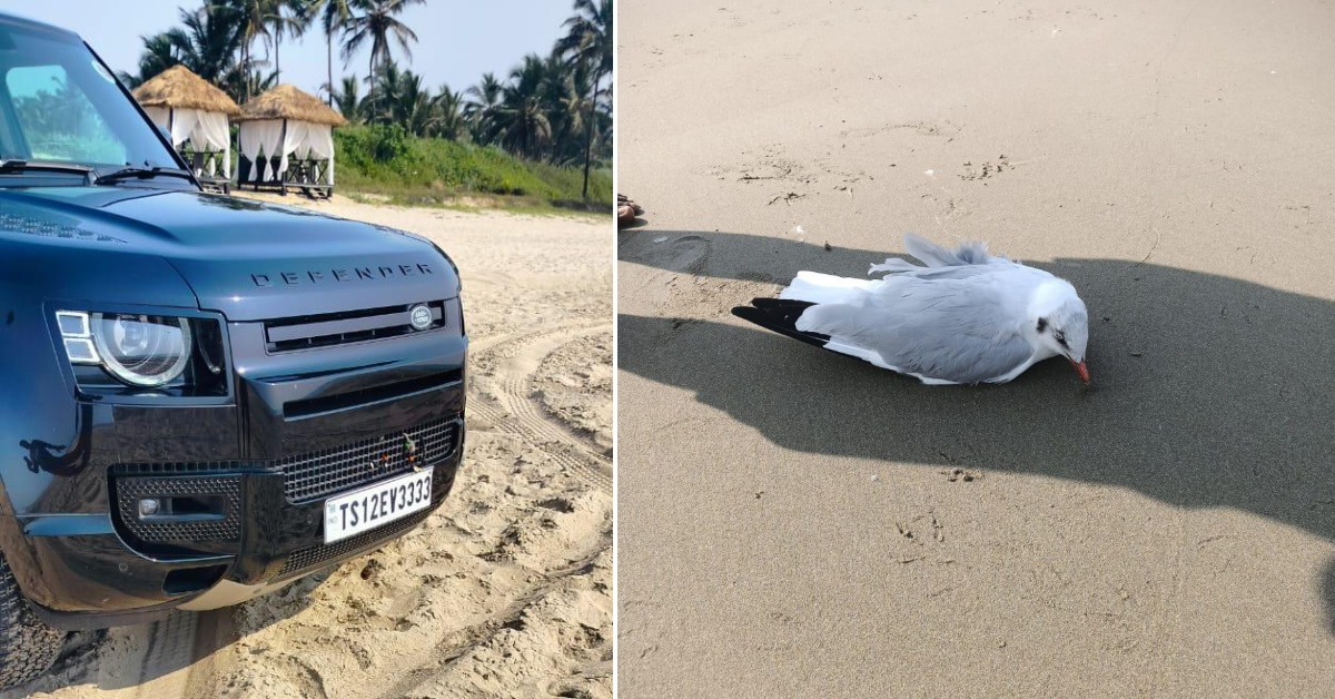 Rashly driven Land Rover Defender hits and kills Seagulls on Goa beach