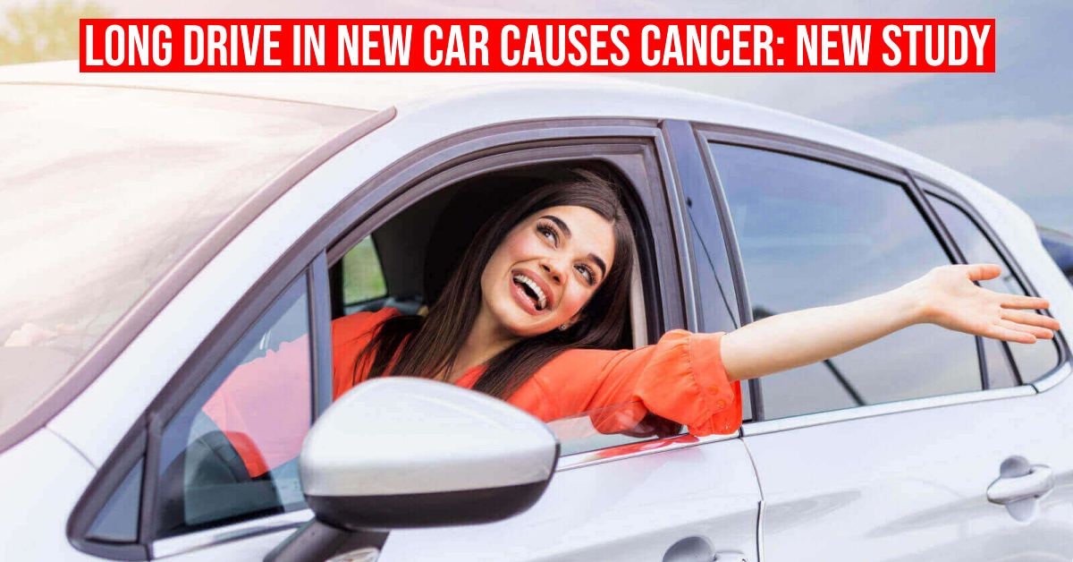New car smell' can increase risk of cancer: study