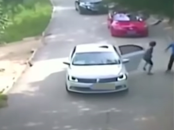 Woman Attacked by Tiger When She Stepped Out of Car ‘After Argument’ Video: Fact Check
