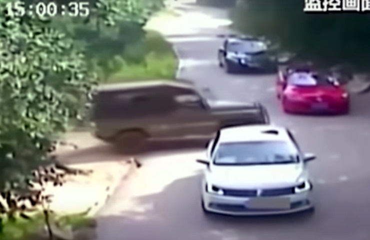 Woman Attacked by Tiger When She Stepped Out of Car ‘After Argument’ Video: Fact Check
