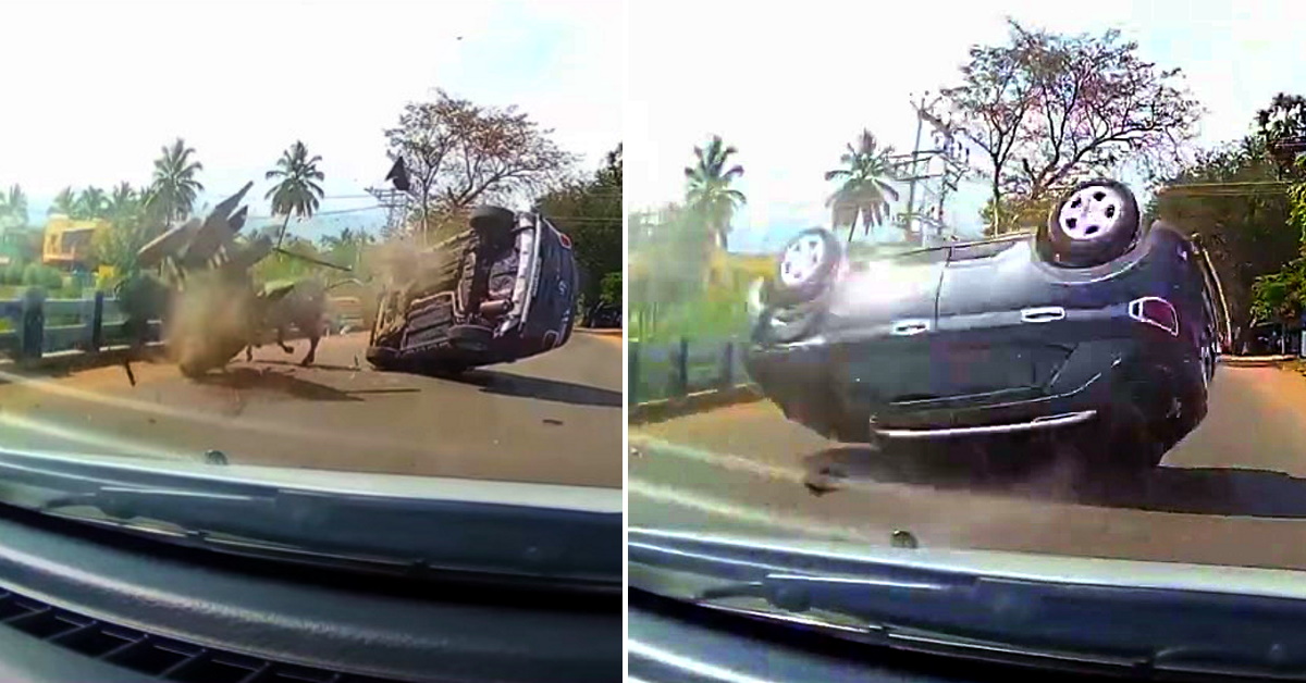 Distracted Hyundai Venue driver hits bullock cart and SUV overturns overturns: Passengers safe [Video]
