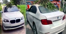 Bihar farmer uses BMW sedan to carry fodder for cattle: Video goes viral