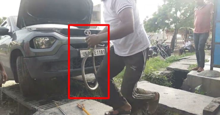 Snake gets into the Tata Punch SUV’s underbody: Rescued [Video]