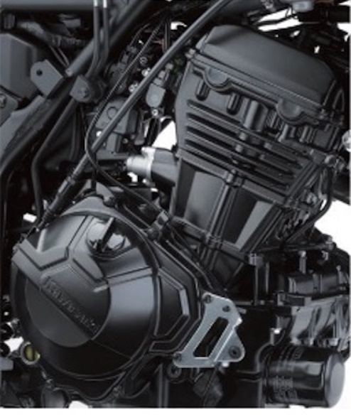 Kawasaki Ninja 300 engine