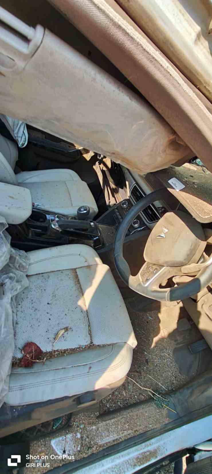 Mahindra XUV700 Rolls Over 6 Times: Owner Says Front Airbags Did Not Deploy