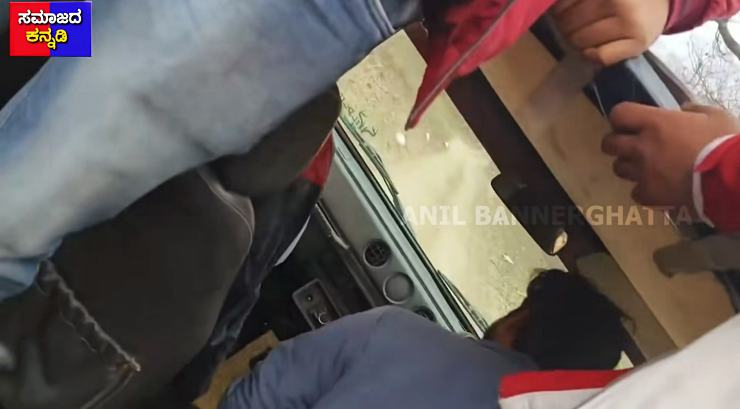 Driver exited vehicle during safari
