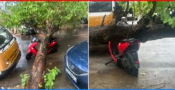 Tree Falls On Ather 450 In Bengaluru: Electric Scooter Survives Impact