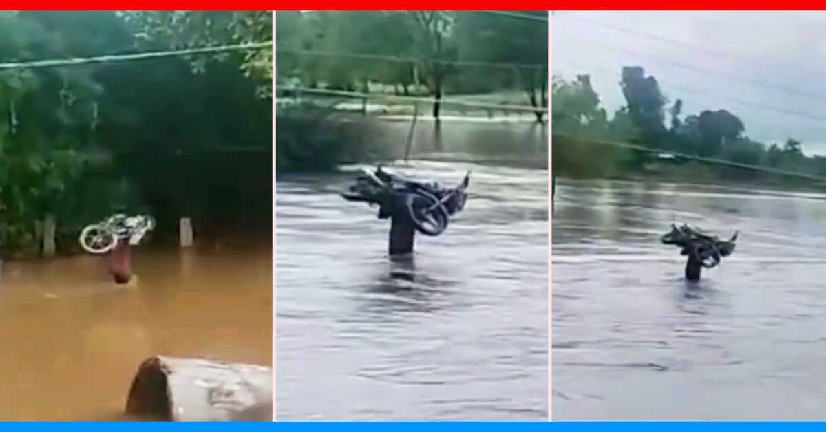 man carries motorcycle shoulders avoid flooding viral video damoh madhya pradesh man carries motorcycle shoulders avoid flooding viral video damoh madhya pradesh