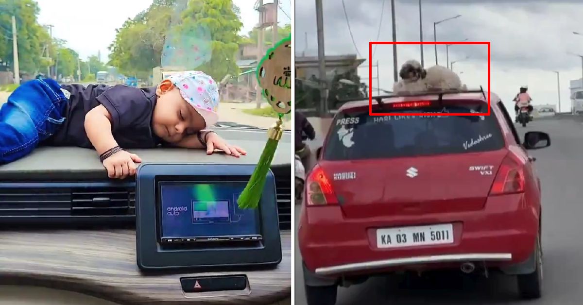 kid sleeping car dashboard dogs sitting roof dangerous viral trend kid sleeping car dashboard dogs sitting roof dangerous viral trend