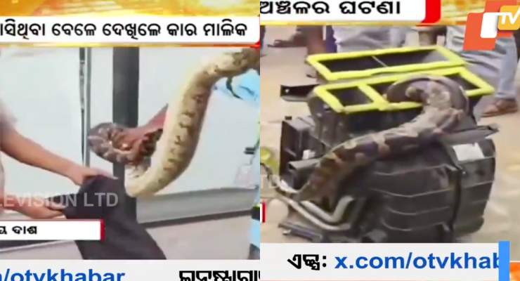 python rescued from Hyundai i10 AC