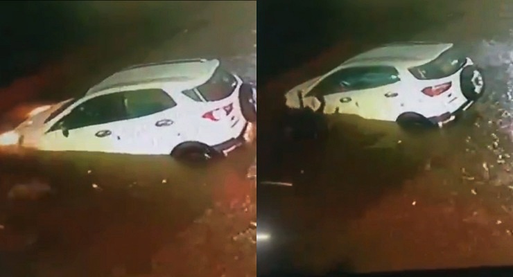 three men save Ecosport driver from drowning
