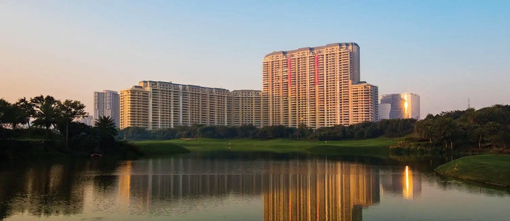 DLF Camellias