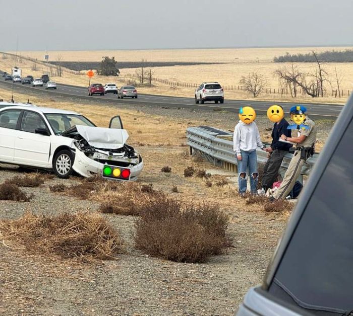 Indian techie involved in crash apple watch calls 911