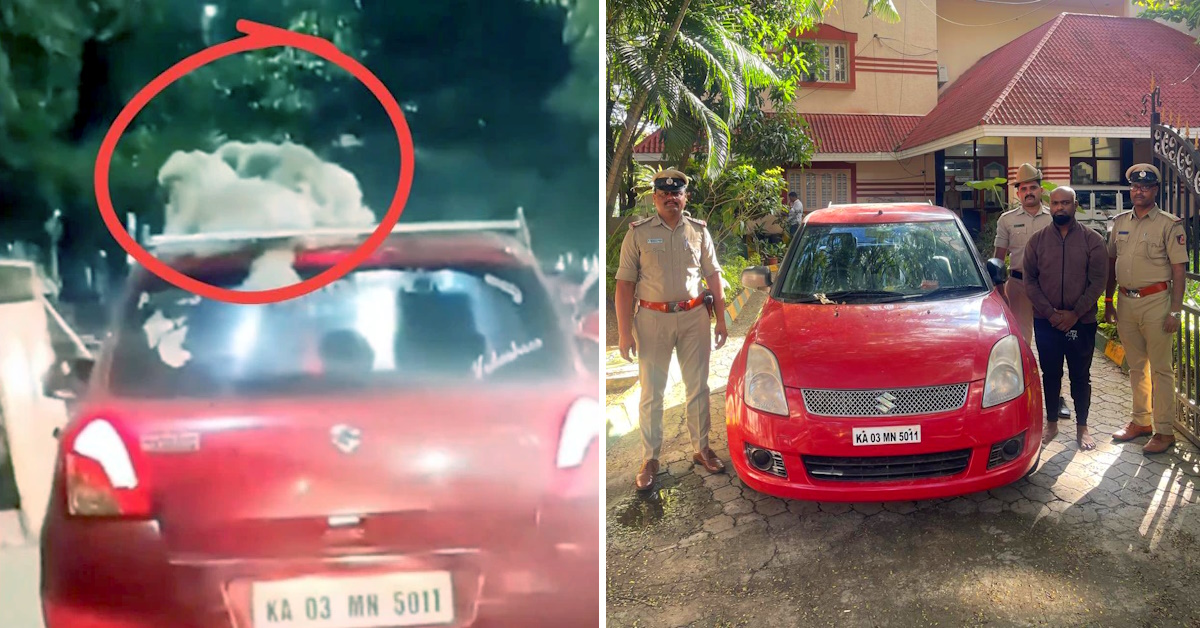 dogs on moving maruti swift bengaluru dogs on moving maruti swift bengaluru